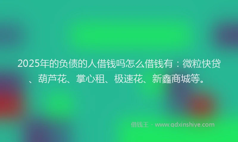 2025年的负债的人借钱吗怎么借钱有：微粒快贷、葫芦花、掌心租、极速花、新鑫商城等。