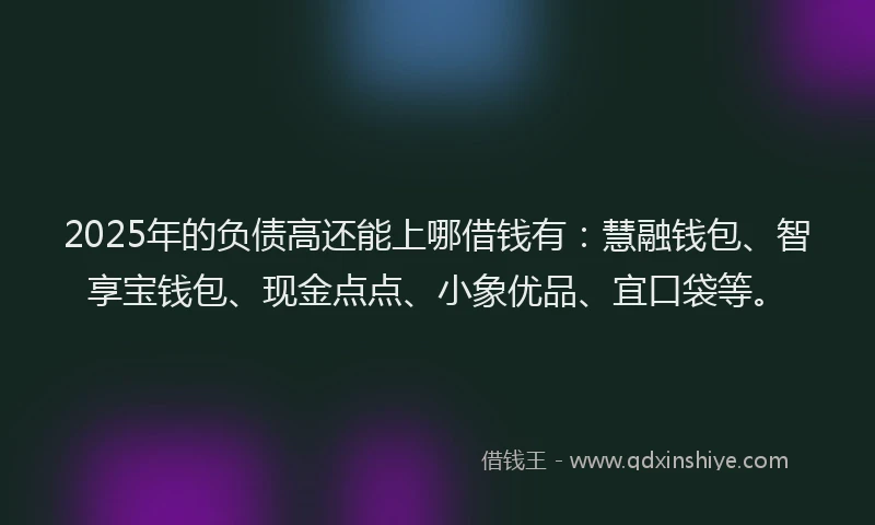 2025年的负债高还能上哪借钱有：慧融钱包、智享宝钱包、现金点点、小象优品、宜口袋等。
