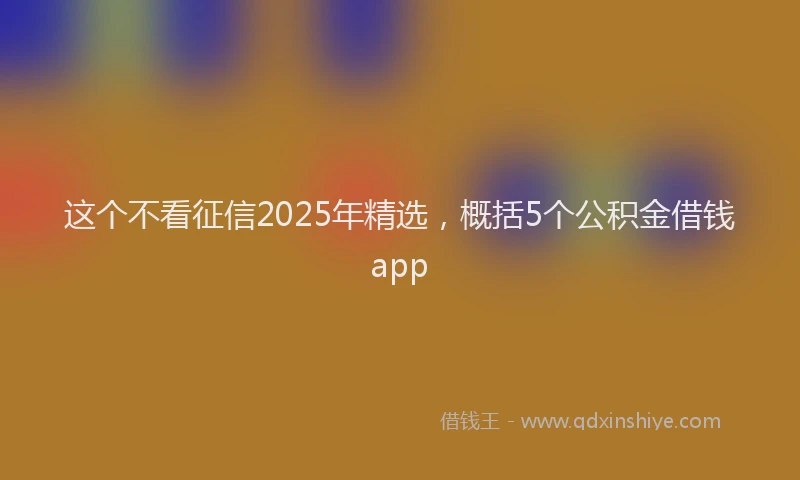 这个不看征信2025年精选，概括5个公积金借钱app