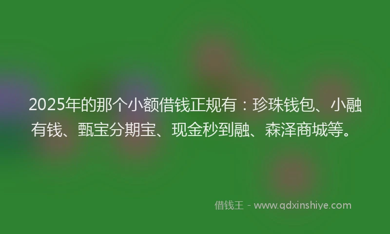 2025年的那个小额借钱正规有：珍珠钱包、小融有钱、甄宝分期宝、现金秒到融、森泽商城等。