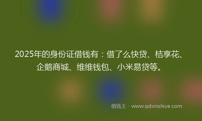 2025年的身份证借钱有：借了么快贷、桔享花、企鹅商城、维维钱包、小米易贷等。