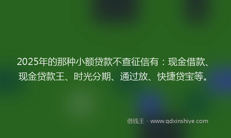 2025年的那种小额贷款不查征信有：现金借款、现金贷款王、时光分期、通过放、快捷贷宝等。