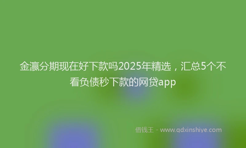 金瀛分期现在好下款吗2025年精选，汇总5个不看负债秒下款的网贷app