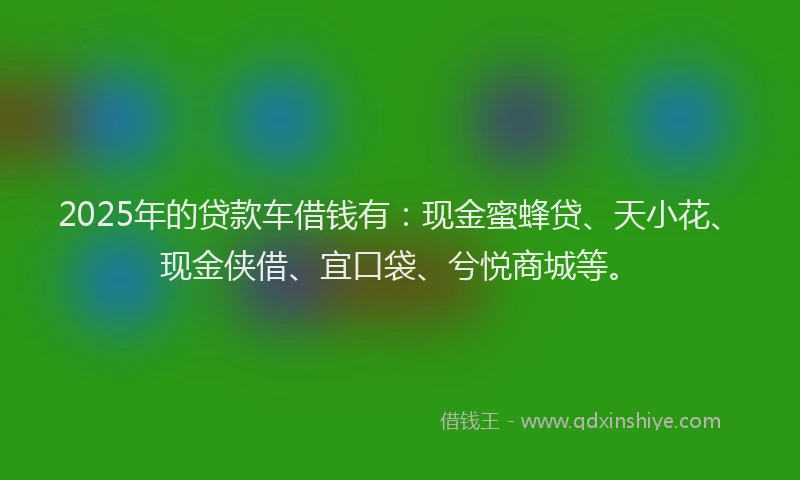 2025年的贷款车借钱有：现金蜜蜂贷、天小花、现金侠借、宜口袋、兮悦商城等。