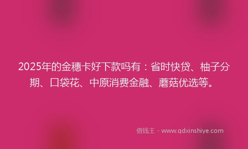 2025年的金穗卡好下款吗有：省时快贷、柚子分期、口袋花、中原消费金融、蘑菇优选等。