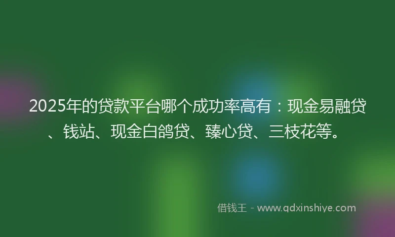 2025年的贷款平台哪个成功率高有：现金易融贷、钱站、现金白鸽贷、臻心贷、三枝花等。