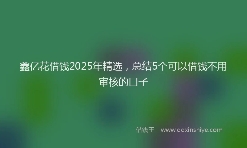 鑫亿花借钱2025年精选，总结5个可以借钱不用审核的口子