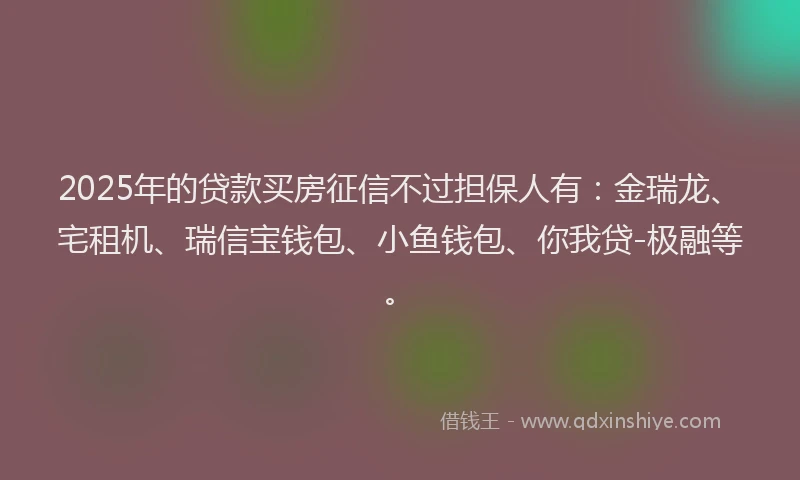 2025年的贷款买房征信不过担保人有：金瑞龙、宅租机、瑞信宝钱包、小鱼钱包、你我贷-极融等。