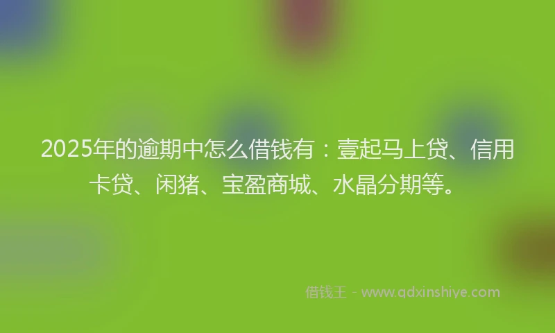 2025年的逾期中怎么借钱有：壹起马上贷、信用卡贷、闲猪、宝盈商城、水晶分期等。