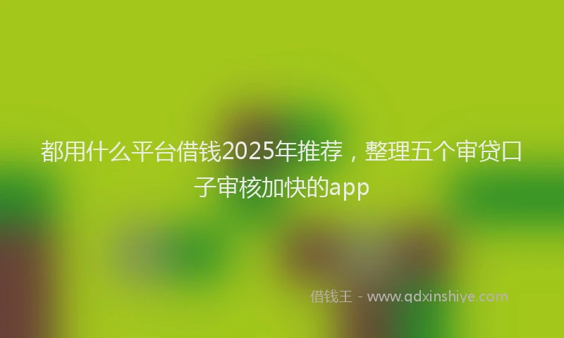 都用什么平台借钱2025年推荐，整理五个审贷口子审核加快的app
