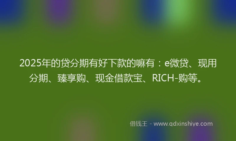 2025年的贷分期有好下款的嘛有：e微贷、现用分期、臻享购、现金借款宝、RICH-购等。