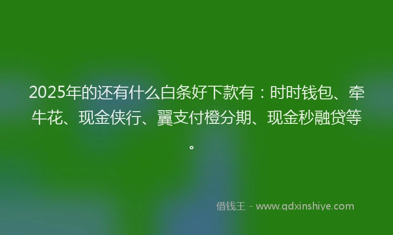 2025年的还有什么白条好下款有：时时钱包、牵牛花、现金侠行、翼支付橙分期、现金秒融贷等。