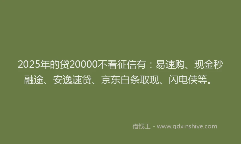 2025年的贷20000不看征信有：易速购、现金秒融途、安逸速贷、京东白条取现、闪电侠等。
