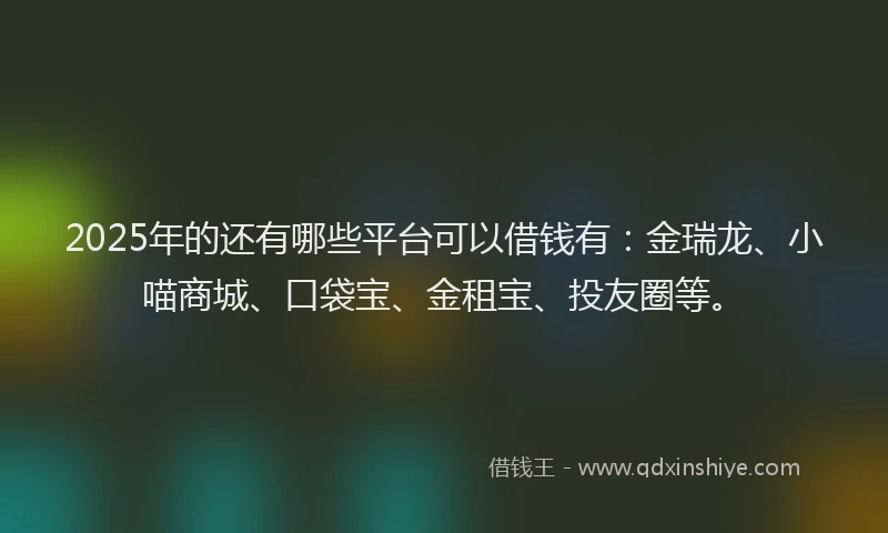 2025年的还有哪些平台可以借钱有：金瑞龙、小喵商城、口袋宝、金租宝、投友圈等。