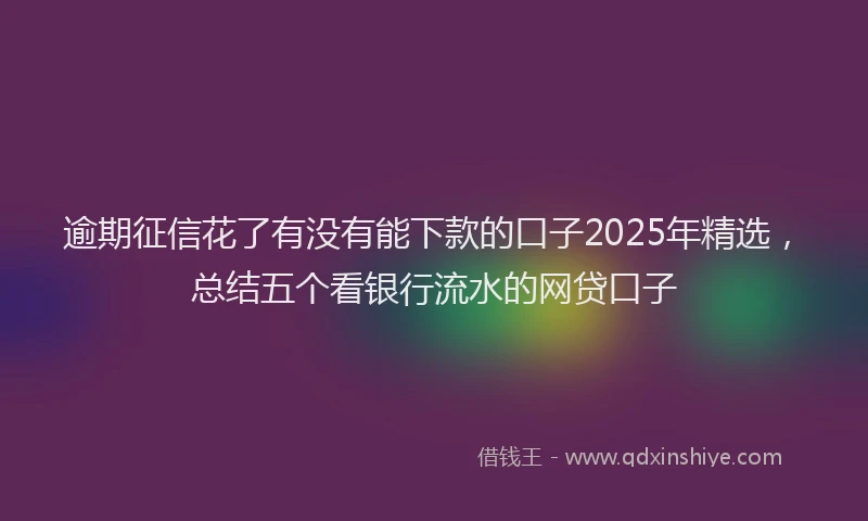 逾期征信花了有没有能下款的口子2025年精选，总结五个看银行流水的网贷口子