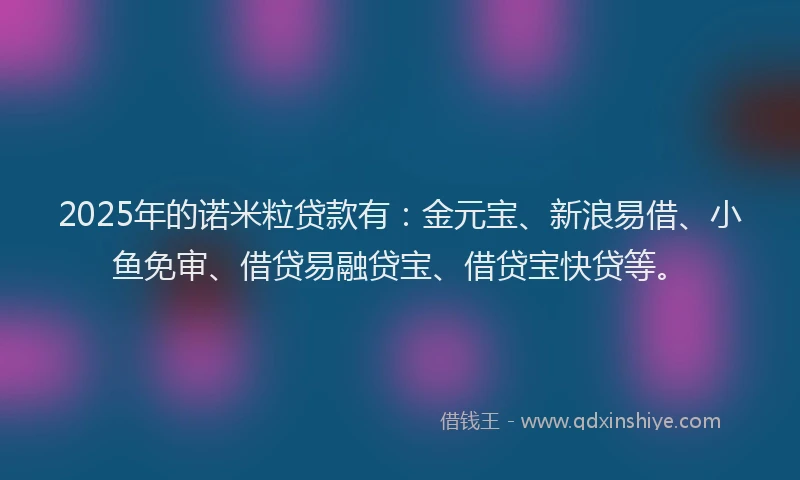 2025年的诺米粒贷款有：金元宝、新浪易借、小鱼免审、借贷易融贷宝、借贷宝快贷等。