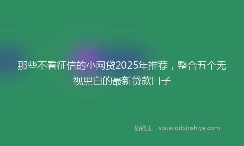 那些不看征信的小网贷2025年推荐，整合五个无视黑白的最新贷款口子