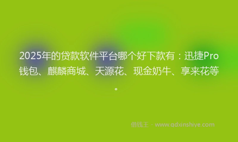 2025年的贷款软件平台哪个好下款有：迅捷Pro钱包、麒麟商城、天源花、现金奶牛、享来花等。