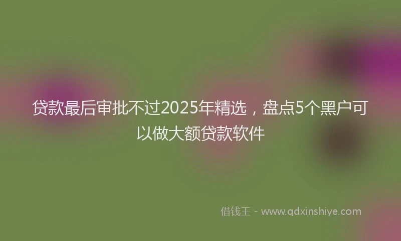 贷款最后审批不过2025年精选，盘点5个黑户可以做大额贷款软件