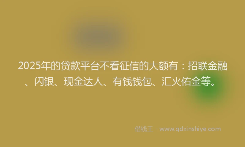 2025年的贷款平台不看征信的大额有：招联金融、闪银、现金达人、有钱钱包、汇火佑金等。