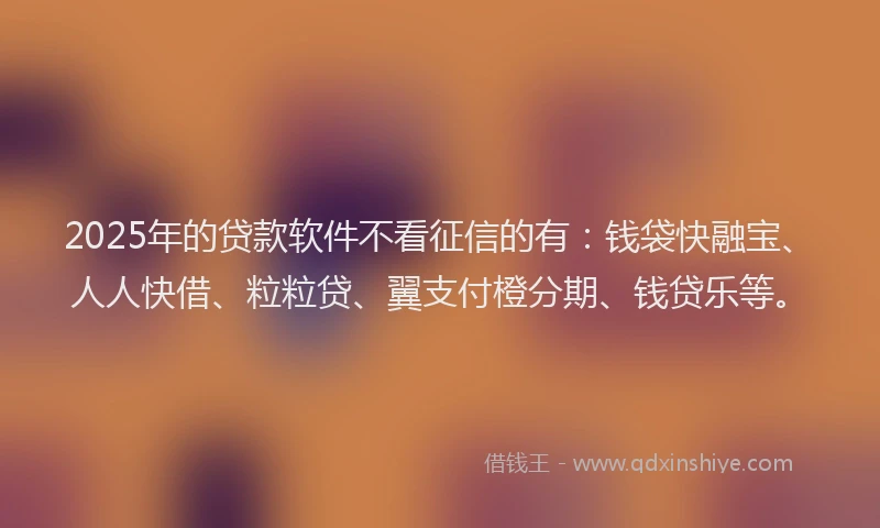 2025年的贷款软件不看征信的有：钱袋快融宝、人人快借、粒粒贷、翼支付橙分期、钱贷乐等。
