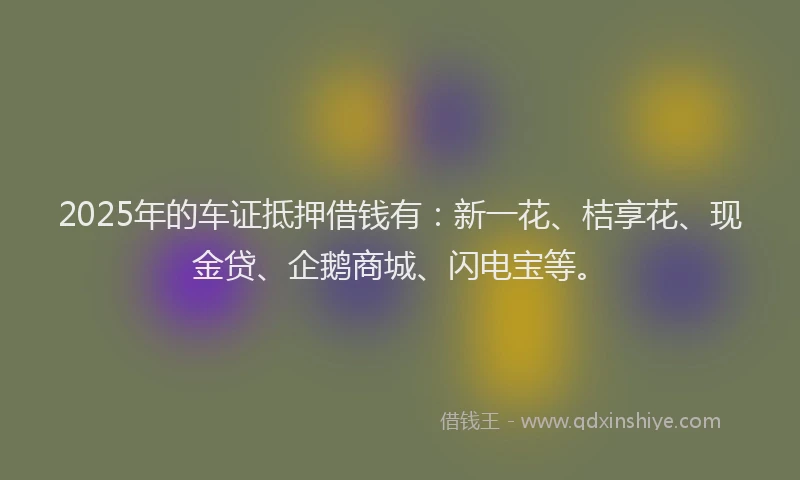 2025年的车证抵押借钱有：新一花、桔享花、现金贷、企鹅商城、闪电宝等。