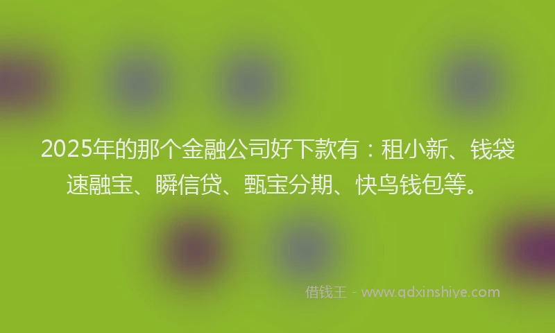 2025年的那个金融公司好下款有：租小新、钱袋速融宝、瞬信贷、甄宝分期、快鸟钱包等。