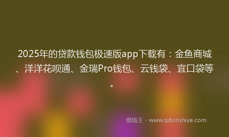 2025年的贷款钱包极速版app下载有：金鱼商城、洋洋花呗通、金瑞Pro钱包、云钱袋、宜口袋等。