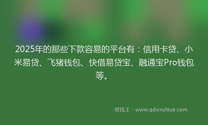 2025年的那些下款容易的平台有：信用卡贷、小米易贷、飞猪钱包、快借易贷宝、融通宝Pro钱包等。