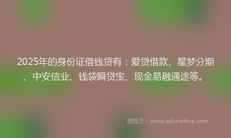 2025年的身份证借钱贷有：爱贷借款、星梦分期、中安信业、钱袋瞬贷宝、现金易融通途等。