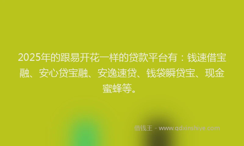 2025年的跟易开花一样的贷款平台有：钱速借宝融、安心贷宝融、安逸速贷、钱袋瞬贷宝、现金蜜蜂等。