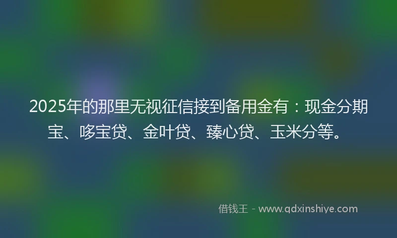 2025年的那里无视征信接到备用金有：现金分期宝、哆宝贷、金叶贷、臻心贷、玉米分等。