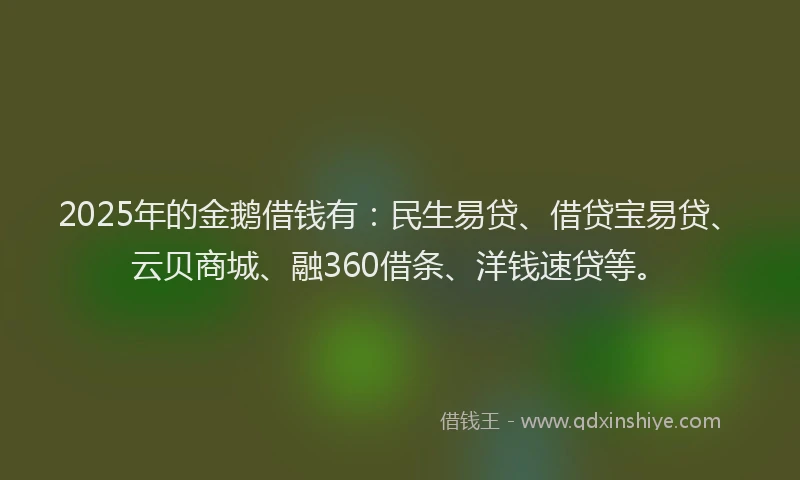 2025年的金鹅借钱有：民生易贷、借贷宝易贷、云贝商城、融360借条、洋钱速贷等。