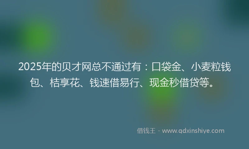 2025年的贝才网总不通过有：口袋金、小麦粒钱包、桔享花、钱速借易行、现金秒借贷等。