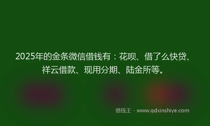 2025年的金条微信借钱有：花呗、借了么快贷、祥云借款、现用分期、陆金所等。