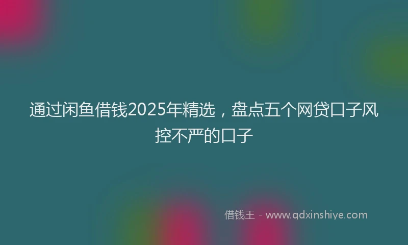 通过闲鱼借钱2025年精选，盘点五个网贷口子风控不严的口子