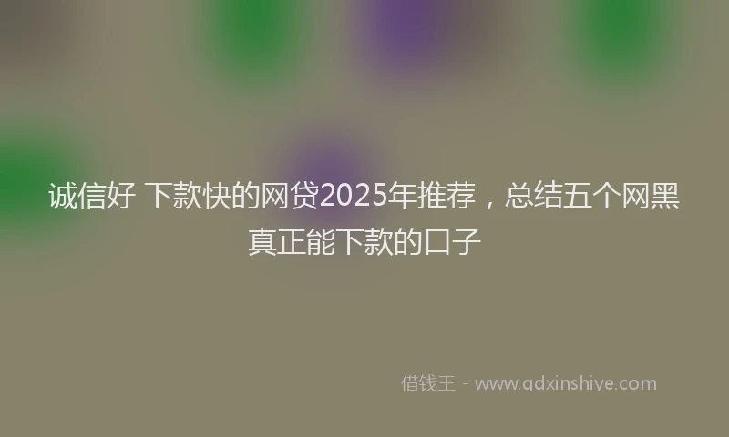 诚信好 下款快的网贷2025年推荐，总结五个网黑真正能下款的口子