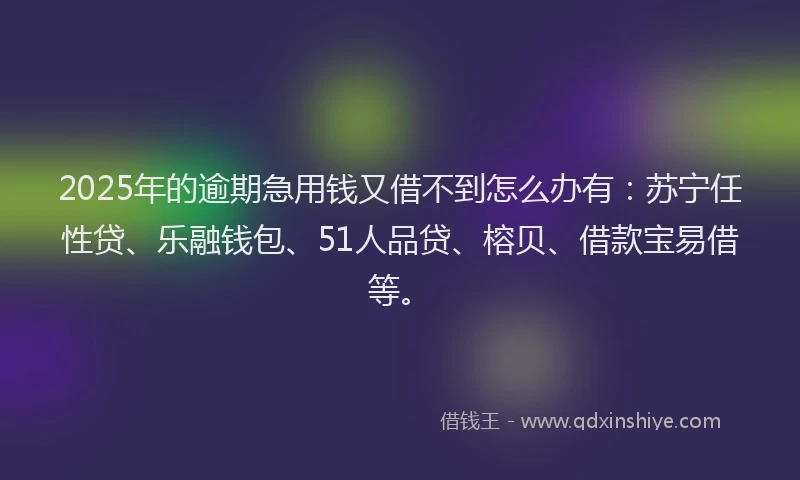 2025年的逾期急用钱又借不到怎么办有：苏宁任性贷、乐融钱包、51人品贷、榕贝、借款宝易借等。