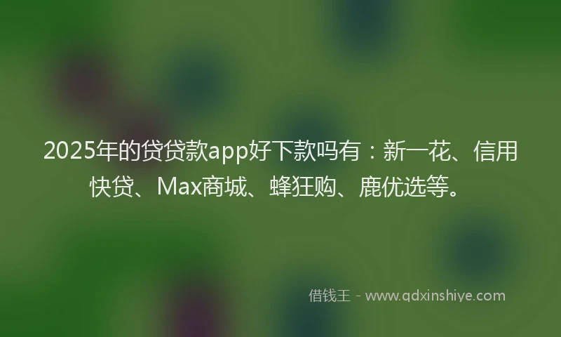 2025年的贷贷款app好下款吗有：新一花、信用快贷、Max商城、蜂狂购、鹿优选等。