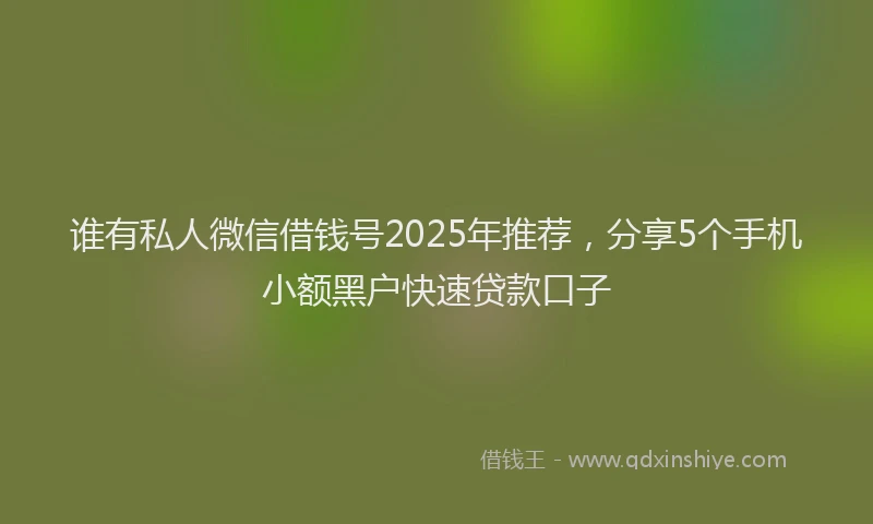 谁有私人微信借钱号2025年推荐，分享5个手机小额黑户快速贷款口子