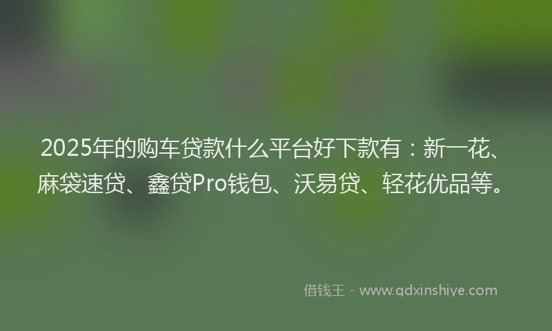 2025年的购车贷款什么平台好下款有：新一花、麻袋速贷、鑫贷Pro钱包、沃易贷、轻花优品等。