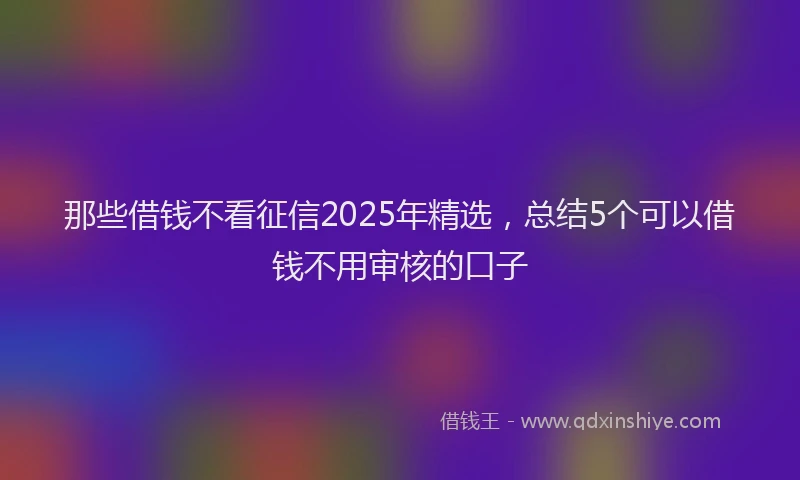 那些借钱不看征信2025年精选，总结5个可以借钱不用审核的口子