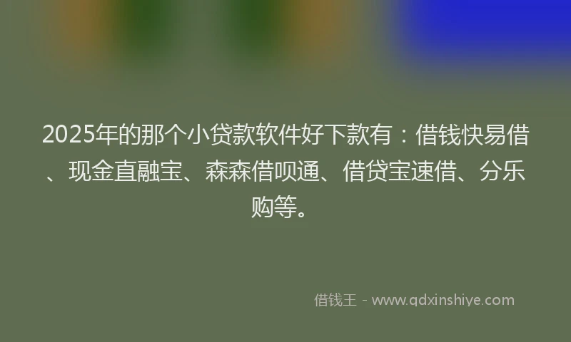 2025年的那个小贷款软件好下款有：借钱快易借、现金直融宝、森森借呗通、借贷宝速借、分乐购等。