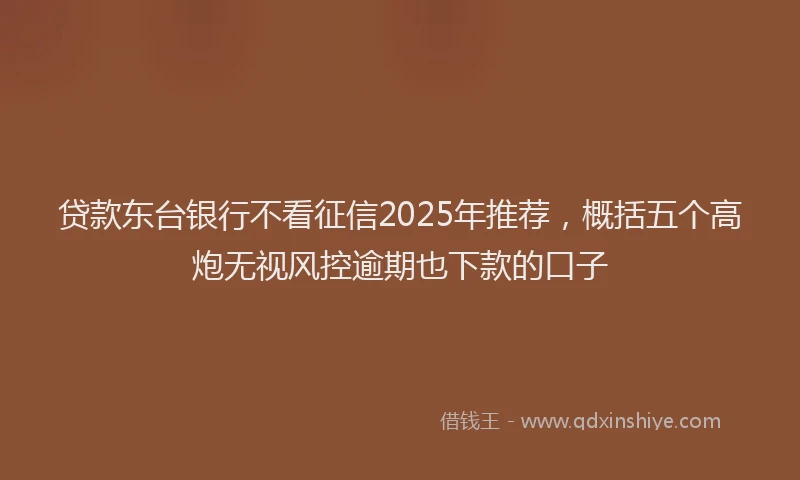 贷款东台银行不看征信2025年推荐，概括五个高炮无视风控逾期也下款的口子