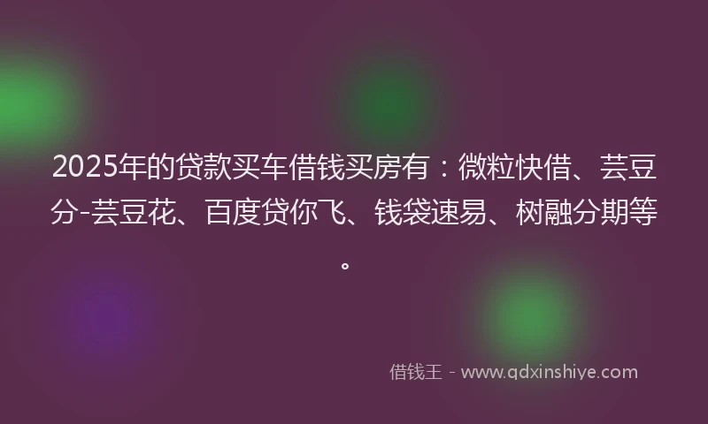 2025年的贷款买车借钱买房有：微粒快借、芸豆分-芸豆花、百度贷你飞、钱袋速易、树融分期等。