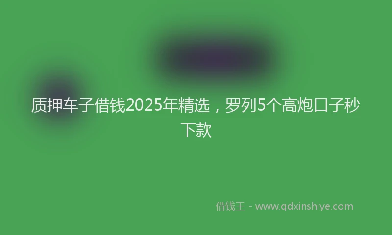 质押车子借钱2025年精选，罗列5个高炮口子秒下款