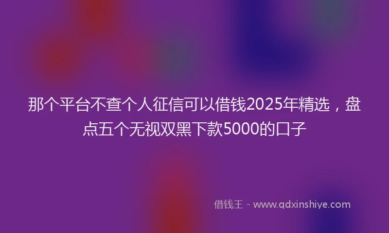 那个平台不查个人征信可以借钱2025年精选，盘点五个无视双黑下款5000的口子