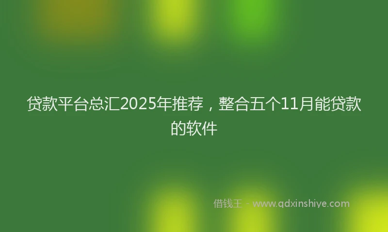 贷款平台总汇2025年推荐，整合五个11月能贷款的软件