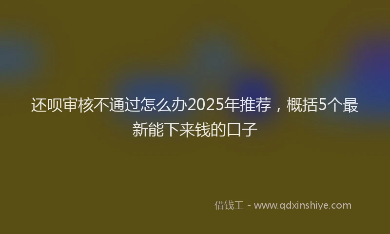 还呗审核不通过怎么办2025年推荐，概括5个最新能下来钱的口子