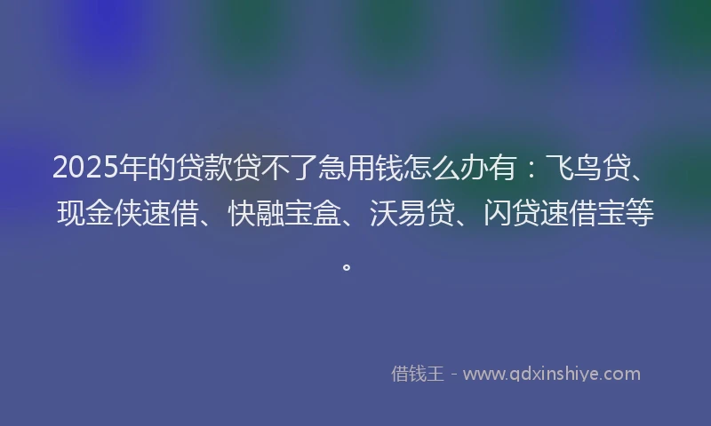 2025年的贷款贷不了急用钱怎么办有：飞鸟贷、现金侠速借、快融宝盒、沃易贷、闪贷速借宝等。